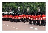 Trooping the Colour 005